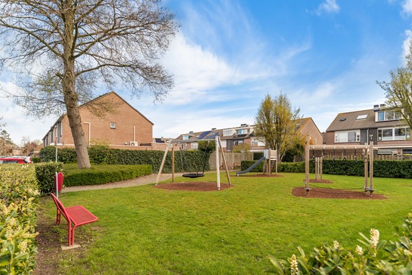 Albert Schweitzererf 6_48.jpg